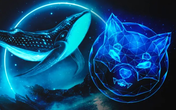 Whale Moves Huge Amount Of Shiba Inu Tokens As SHIB Unveils To Metaverse