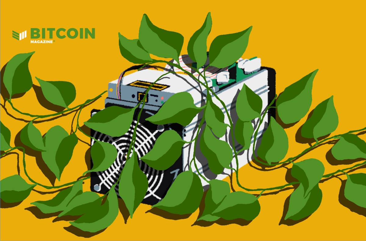 US Largest Hemp Processor Enters Bitcoin Mining – Bitcoin Magazine