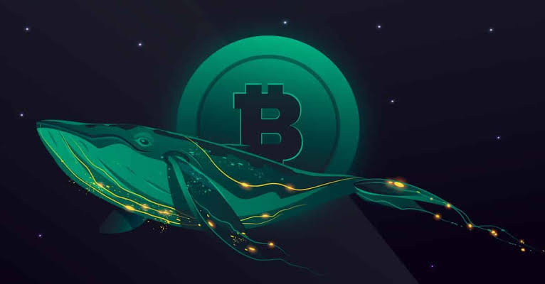 Bitcoin Whale Removes Nearly $400 million In BTC From Binance