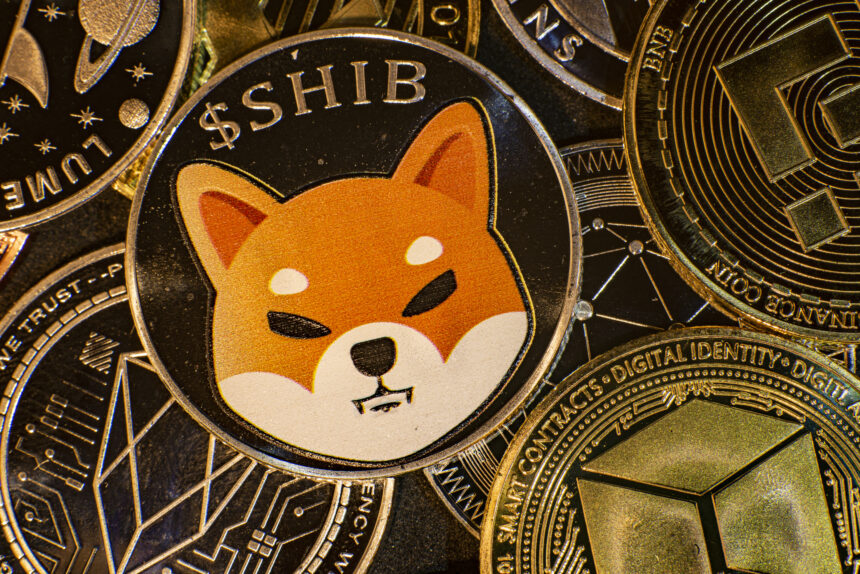Shiba Inu Becomes 14th Largest Cryptocurrency As Bull Rally Heats Up
