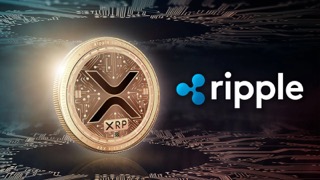 Pro-XRP Legal Expert Shares Expectations If SEC Wins Appeal Against Ripple