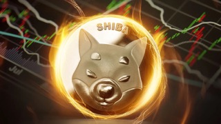 Shiba Inu Starts Off Strong With An Explosive 233% In SHIB Burn Rate
